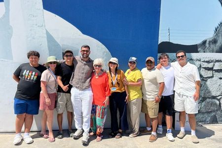 Mykonos 2 Hour Private Tour with a Local Expert