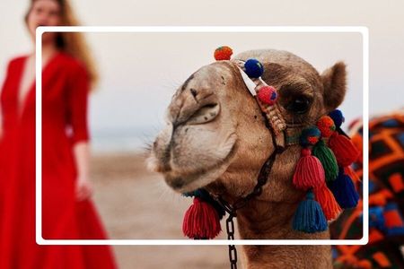 Cappadocia Trails: 3 Day Tour Including Balloon Ride & Camel Ride