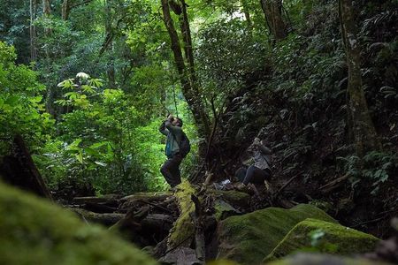 Monteverde Cloud Forest Tour from San Jose