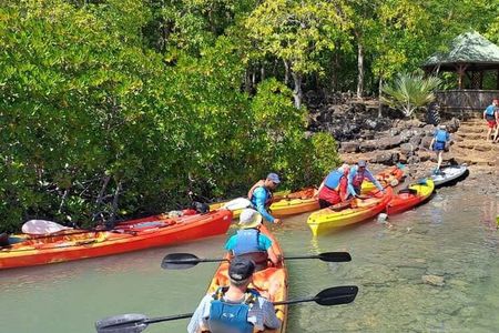 Zanzibar :Uzi island mangroves kayak with village tour & pick up