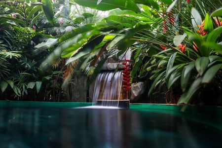 Arenal Hot Springs + Arenal Volcano from San Jose with Lunch