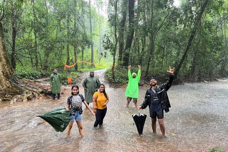 The Monsoon Trek at Tambdi Surla
