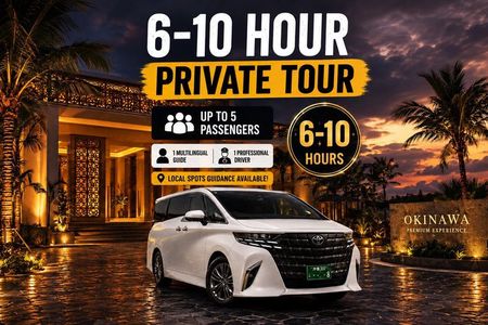 Premium Okinawa Private Tour(Driver & Guide) 1–5 Guests 6-10H