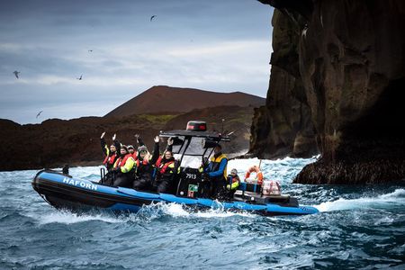 1 Hour RIB Boat Tour