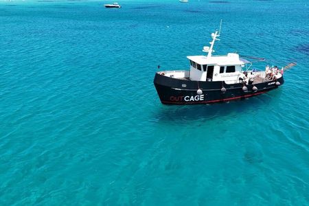 Golfo Aranci group day : all inclusive yacht with dolphins