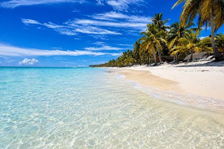 Excursión a Isla Saona con recogida en Bávaro y Cabeza de Toro