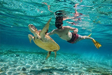 Gili Air Private Snorkeling Tour with Sea Turtles & Free GoPro