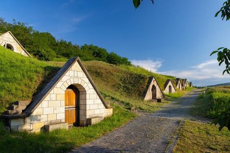 Tokaj Wine Tasting with Tokaji Aszú and Tapas in a UNESCO Cellar