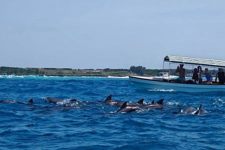 Zanzibar Mnemba Island Snorkeling & Dolphin Watching Adventure