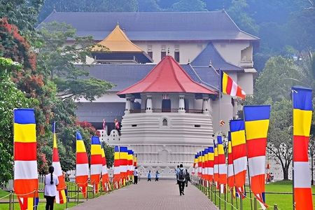 Private Day trip to Kandy and Pinnawala from Colombo Negombo