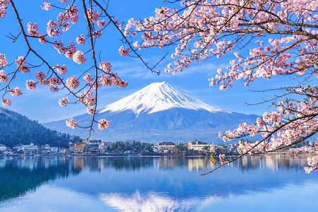 Mount Fuji and Lake Kawaguchi Small Group Minibus Tour from Tokyo