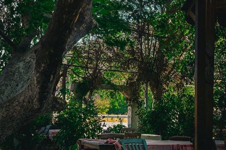 Handmade Pasta Masterclass: Naples Rooftop or Secret Garden