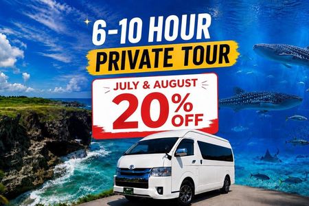 【JULY-AUGUST 20% OFF】Okinawa Private Tour 1–8 Guests (6-10H)