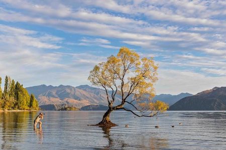Private Arrowtown & Wānaka Full-Day Tour from Queenstown