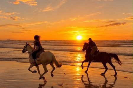 Sunset Half Day Horse Riding Experience in Agadir and Taghazout
