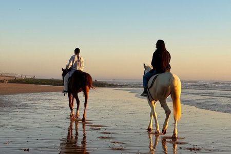 Taghazout Sunset Horse Ride