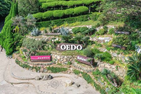 [Hotel Pick-up] Oedo Botania Garden Private Day Tour from Busan