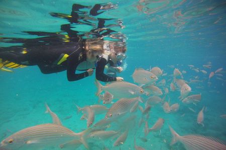 Get Wet Snorkeling Tour to Isla de Lobos from Corralejo