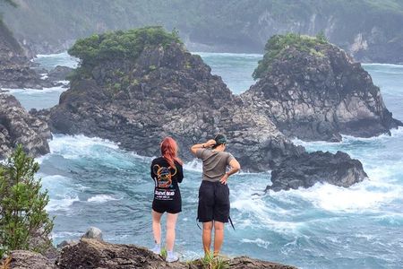 Jeju South Scenic Tour: Hallasan Trail Camellia Hill & Waterfalls