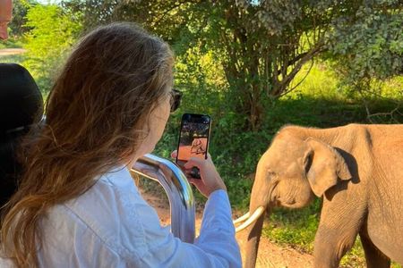Udawalawe National Park - Full Day Safari Tour