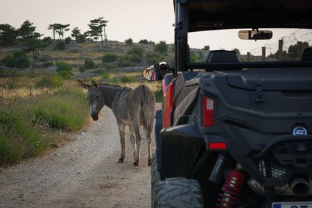 4-Seater Buggy — Self-Guided Adventure in Hvar