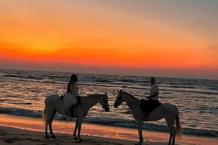 Bali Horse Riding