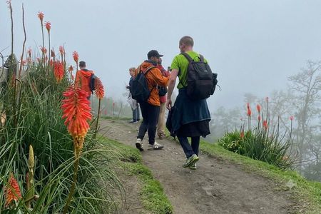 Cocora Valley : 10 km Nature and Forest Hike