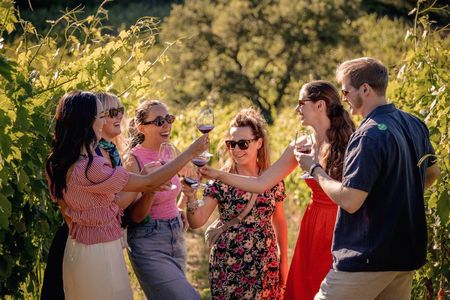 Half-Day Chianti Wine Tasting from Florence with Two Wineries