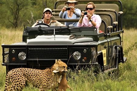 A 1-Day Nyerere National Park(Selous )Fly-in Safari from Zanzibar