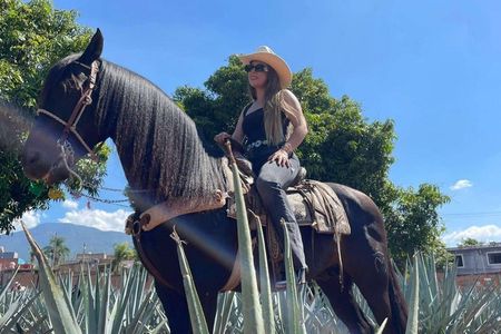 Guadalajara Tequila Tastings Tour