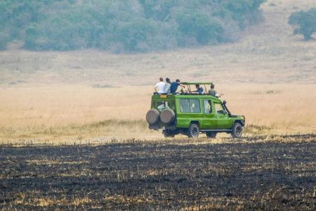 2-Day Private Serengeti Wild Camping Safari from Arusha