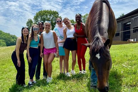 Just be with the Horses at Hapbe Valley Asheville