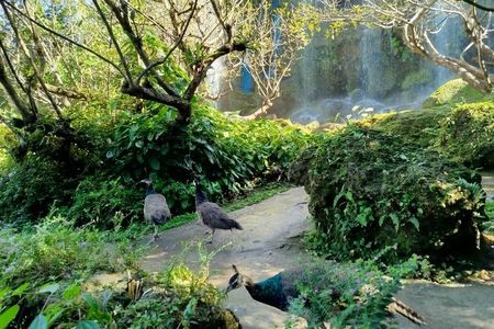 Visit Dantewada(The Angel Land), Wat Ban Den, Sticky Waterfall