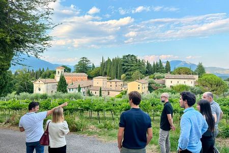 Vineyard Tour and 5 Wine Tasting in the Bardolino Hills