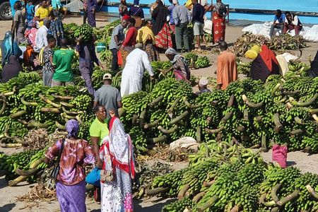 Mwanza Introduction Walking Tour