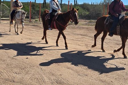 La Paz Private Domesticated Animals Adventure