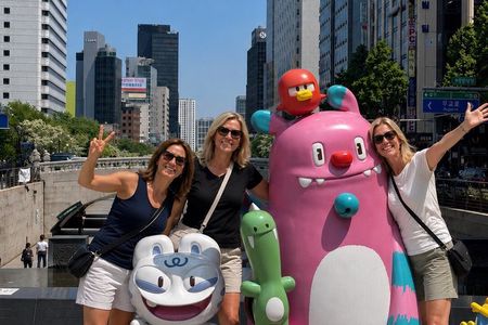 Private and Custom Highlights Tour from Seoul