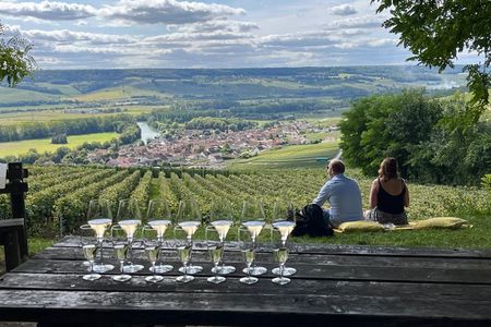 Small Group Champagne Tour from Paris, Tastings and Hotel Pickup
