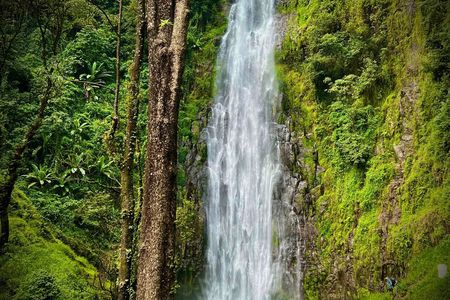 Materuni Waterfalls Hiking & Coffee Farms - Tuk Tuk Experiences