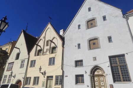 From Carnivals to Epidemics - Medieval Tallinn