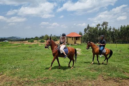 Horse Ride and Wild Hyenas Adventure in the Addis Highlands