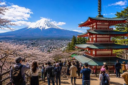 Private Tour to Mount Fuji and Hakone - A Personalized Experience