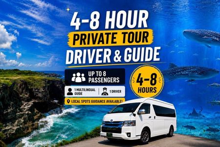 Okinawa Private Tour—Driver and Guide Included 1–8 Guests（4-8H)