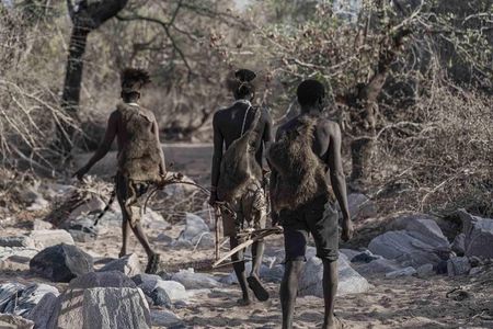 Authentic Hadzabe Cultural Experience & Bush Skills