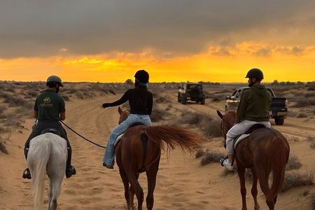 Desert and Beach Horse Ride Guided Adventure