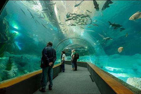 Gran Canaria Tour to the Poem of the Sea and Las Palmas Pier