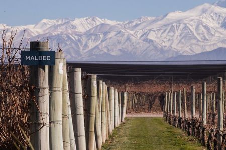 6 Days Mendoza Private Guided Tour