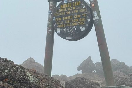 7-Day Kilimanjaro Machame Route Trek – Summit Mount Kilimanjaro.