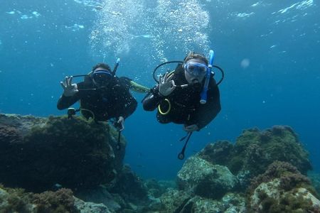 Playa Blanca Discover Scuba Diving at Flamingo Beach free videos