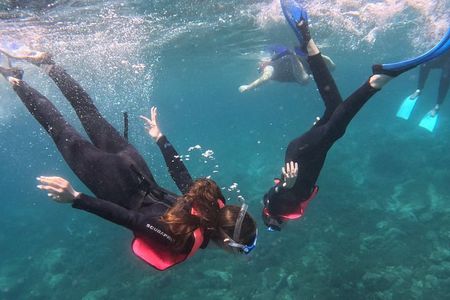Playa Blanca Snorkeling Experience + free videos